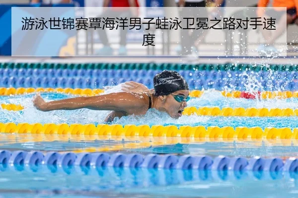 游泳世锦赛覃海洋男子蛙泳卫冕之路对手速度